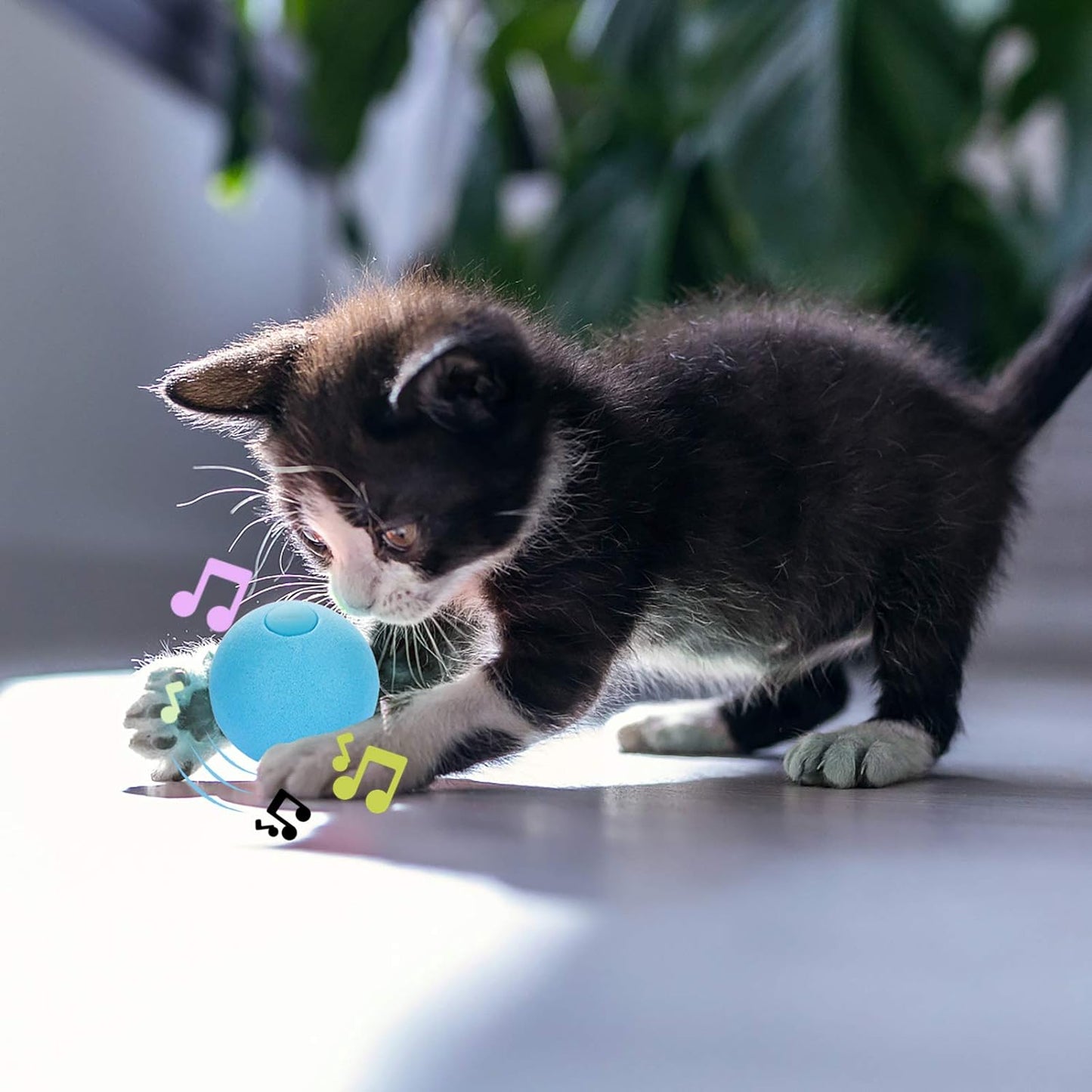 3 Small Interactive Cat Toy Balls with Lifelike Animal Sound